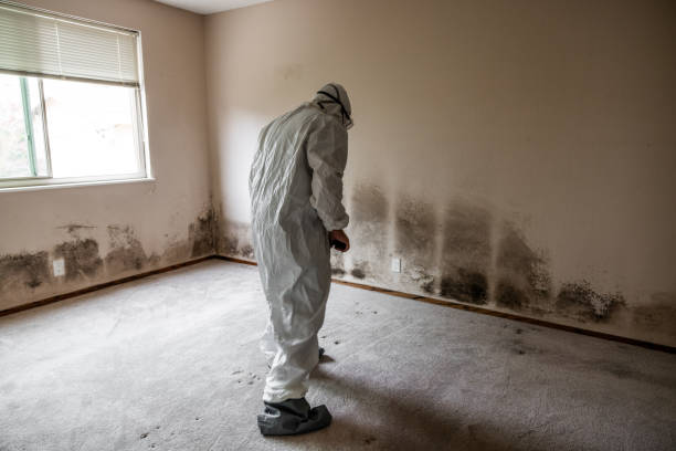 Best Mold Prevention Services  in Lynchburg, MS